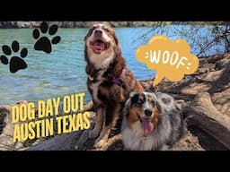 The BEST Dog Friendly SPOTS In Austin Texas!