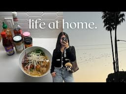 life at home | daily life vlog, recovering from our trip, bay area california