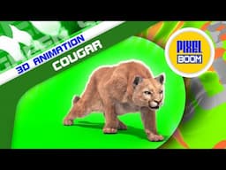 Green Screen Cougar Real Fur Animals 3D Animations PixelBoom