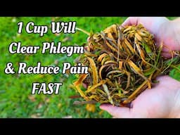 Your Grandma’s Cough Remedy- Centuries Old Herbal Remedy For A Nagging, Painful Cough