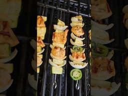 Chicken Skewers on the Monument Grill - Healthy Summertime Grilling