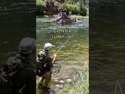 Will they spook the fish?! Crowded river fly fishing. #codebreakerangler #flyfishing
