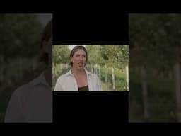 Adding windbreaks in Illinois
