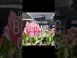 A Must-Visit in Fort Worth: The Stunning Botanic Garden