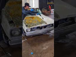 First Rinse in 29 YEARS 🚘💕 #oddlysatisfying #detaildane #barnfind #detailing #abandonedcars #asmr