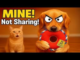 Mine, Not Yours! 😂 Possessive Pets Caught in the Act