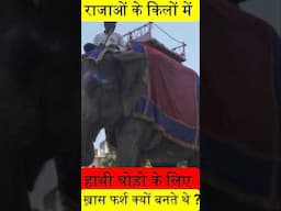 राजाओं के किलों में हाथी घोड़ों के लिए बनाये जाते थे ख़ास फर्श! जानिये इसकी हैरान करने वाली वजह 😱