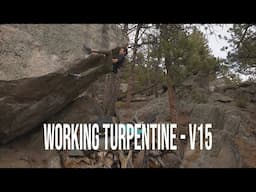 The Final Project - Episode 4 - Back on Turpentine V15