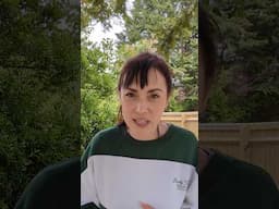 Gen Z's plant obsession explained