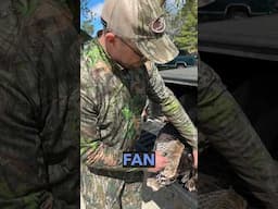 How to Remove a Turkey Fan