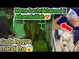 Aggressive insan se soda hogaya😍| lal nukri khareed li mandi 2025 ma😯