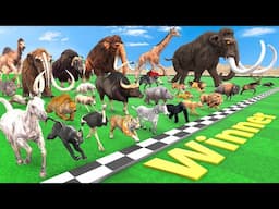 Ultimate Race 30 Wild Animals Speed Challenge Which is the Fastest? Animal Revolt Battle Simulator