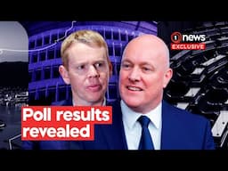 Exclusive: The parties making a comeback in 1News political poll| 1News on TVNZ+