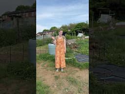 🪴DAY ONE AT MY BRAND NEW ALLOTMENT PLOT 🪴 #allotmentgarden #allotment #allotmentlife #gardening