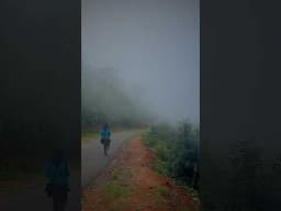 চেনা রাজ্যের অচেনা ছবি #shorts #odisha
