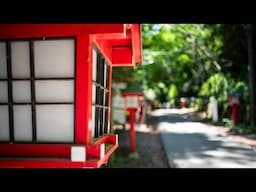 Daytrip to Mt. Takao (Tokyo Silent Vlog)