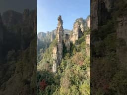 The greatest cable car ride #zhangjiajie #avatarmountains