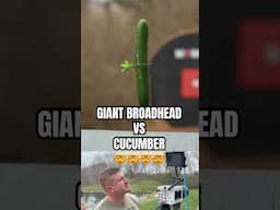 Worlds biggest Broadhead vs cucumber | BEAST Broadheads| #turkey #broadhead #archery
