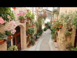 UMBRIA SPELLO IN FIORE 2025 - 4K
