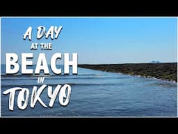 A DAY at the BEACH in TOKYO - Kasai-Rinkai Marine Park (Japan Vlog #7)