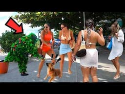 These BEAUTIFUL Girls Learned The Real LESSON😂 The Funniest Scares On The Internet😱 Bushman Prank!