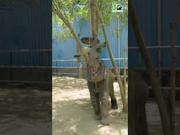 We asked Bani if she was up for a new enrichment challenge. She said, “Challenge completed.”