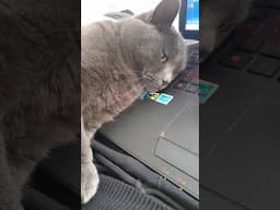 What editing a YouTube video looks like
