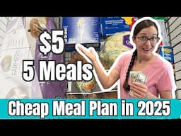 30 Meals for $30 | $5 Dinners | Emergency Grocery Budget