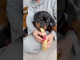 She loves bananas 😍