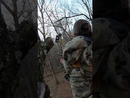 2 BUCKS 2 outcomes #archery #bowhunting #hunting #shorts