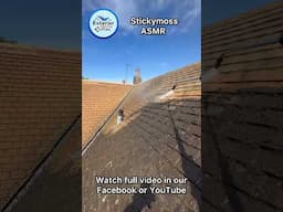Sticky moss roof restoration shorts :
