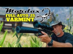BLASTING Ground Squirrels with FULL AUTO .25 Mordax Airgun!