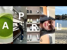 life in boston | matcha, filming, family time and lots of eating 🍸📖🍵