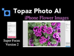 TOPAZ PHOTO AI: Super Focus V2 vs. Out-of-Focus iPhone Shots!