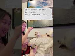 Life Update Series Ep. 3: Their Lives Are Short, So I Make Every Moment Count