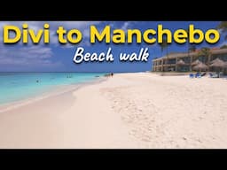 Walking from Tamarijn to Bucuti resort