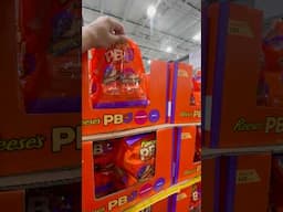Late April Costco Stop, Part 1 of 2! Anything New?