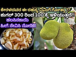 ಶುಗರ್ ಒಂದೇ ದಿನದಲ್ಲಿ ಕಮ್ಮಿಯಾಗಲು ಹಲಸಿನಕಾಯಿಯ ಈ ರೆಸಿಪಿ ಮಾಡಿ ಸೇವಿಸಿ! Raw Jackfruit Recipe In Kannada