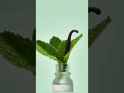 Simplified by Jacob + Kait™ Vanilla Mint™ | Young Living