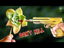 8 FATAL SUCCULENT GROWING MISTAKES TO AVOID ☠ | How To Grow Succulents and Cactii?