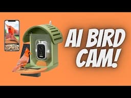 I Tested This AI Bird Camera – Vinguys Smart Bird Feeder with Camera & AI
