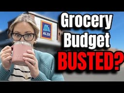 ALDI Grocery Haul & Meal Plan, Middle Class Family of 5