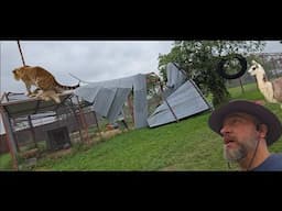 Storm destruction at CARE (It got breezy)