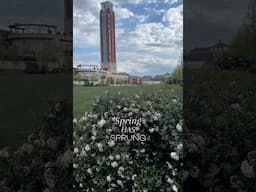 How beautiful is this season?