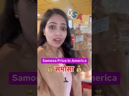 Samosa Price in the USA 🇺🇸
