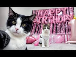 A Year of Pawsitivity: Mila's 1st Birthday Party!