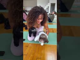 puppy yoga has been the highlight of my week #puppy