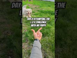Day 2 Attempting The L O V Challenge With my Puppy 🐶