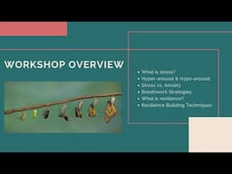 Stress Less & Raise Resilience Workshop