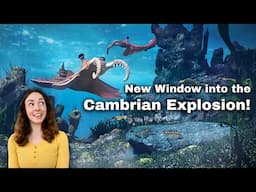 New Study Provides Insight Into the Ediacaran-Cambrian Transition Using Chert Fossils! GEO GIRL